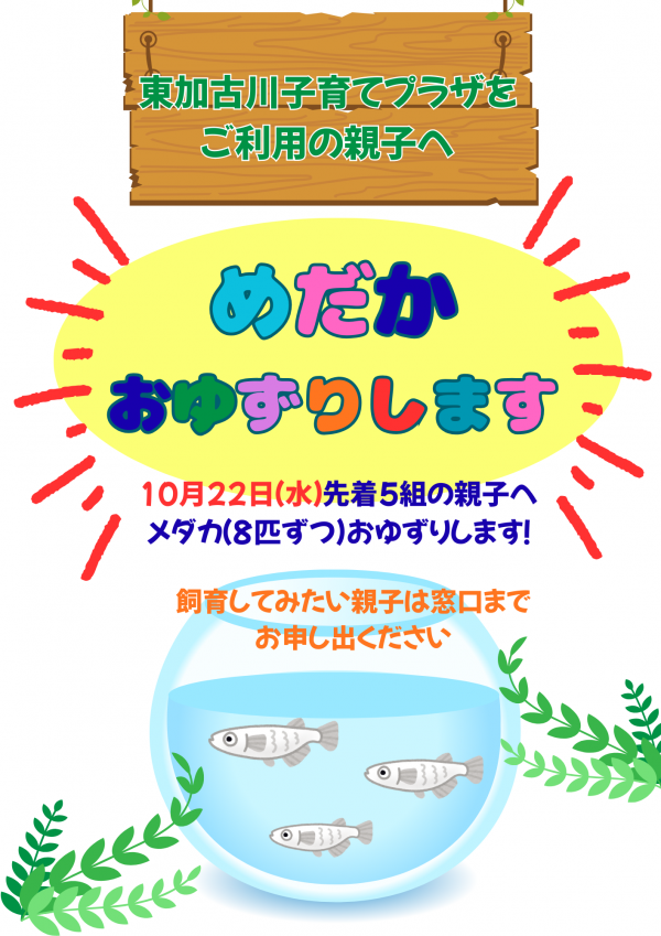 めだか おゆずりします