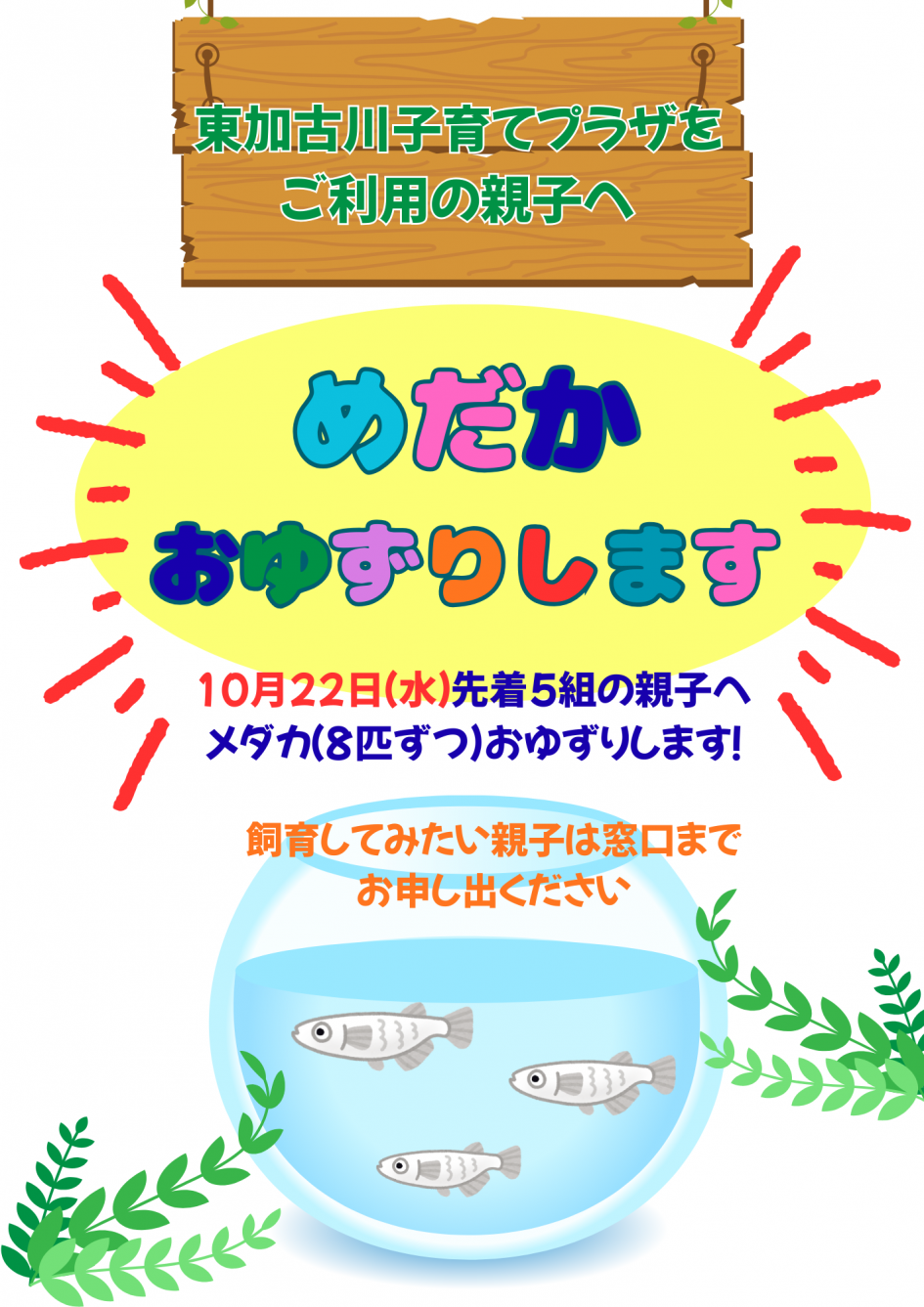めだか おゆずりします