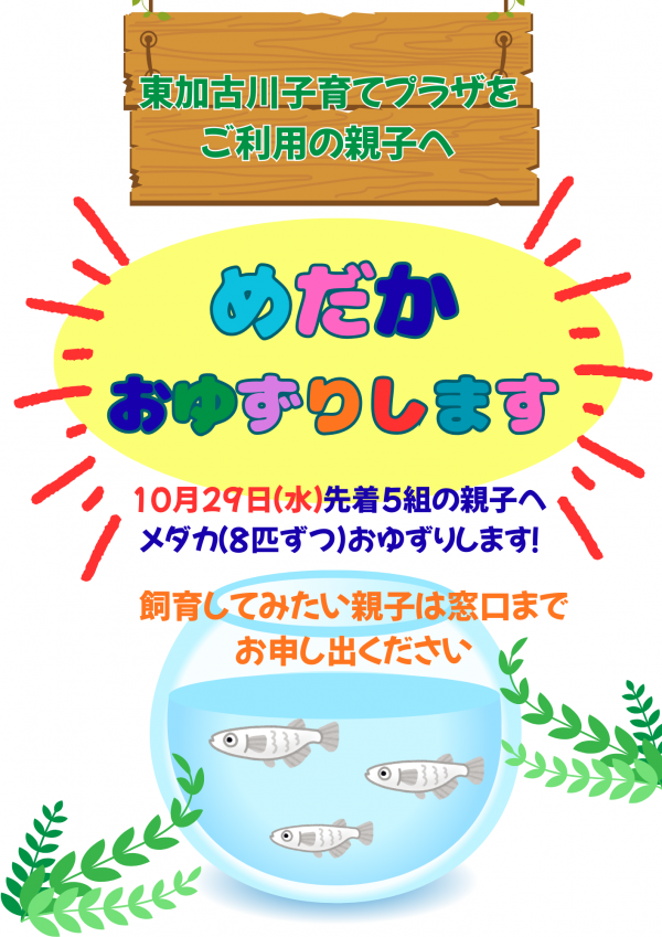 めだか おゆずりします (3)