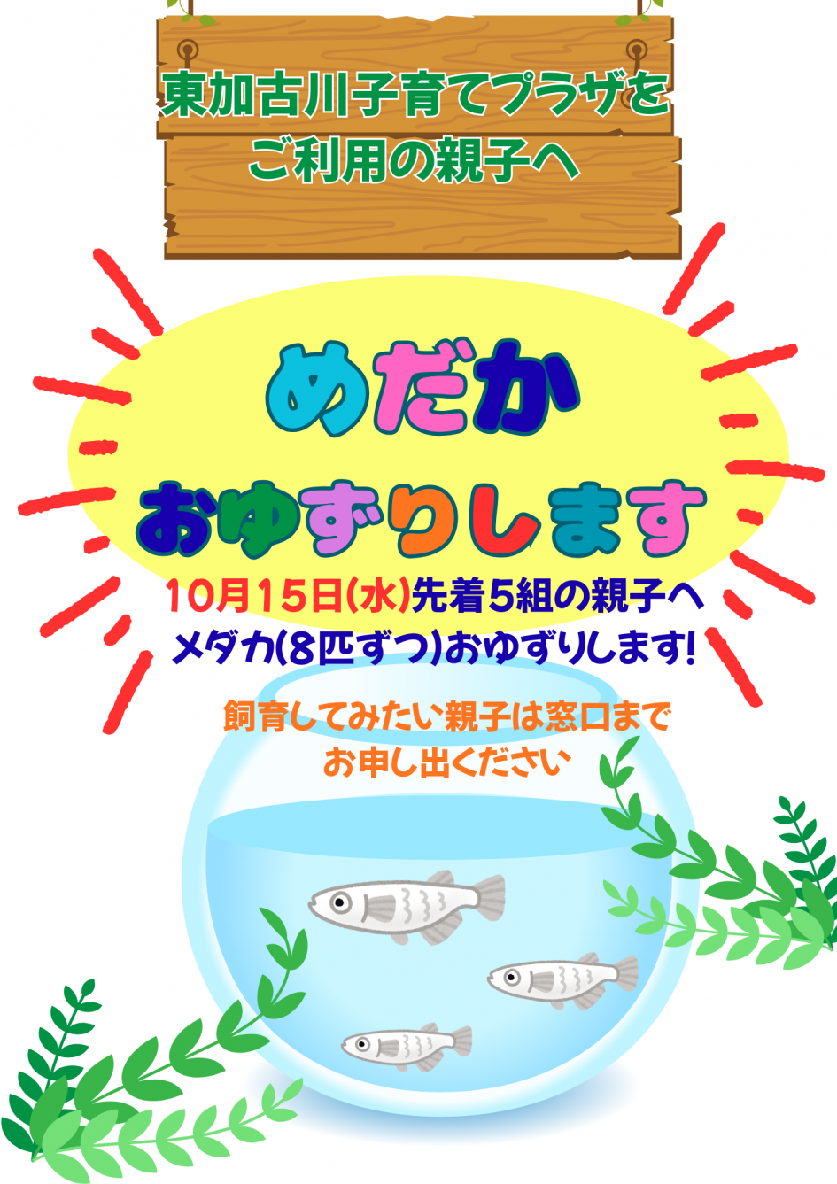 めだか おゆずりします